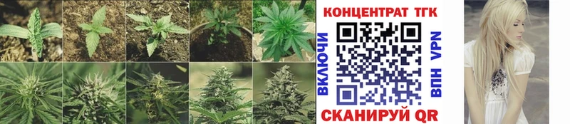 где можно купить   Амурск  Дистиллят ТГК вейп 