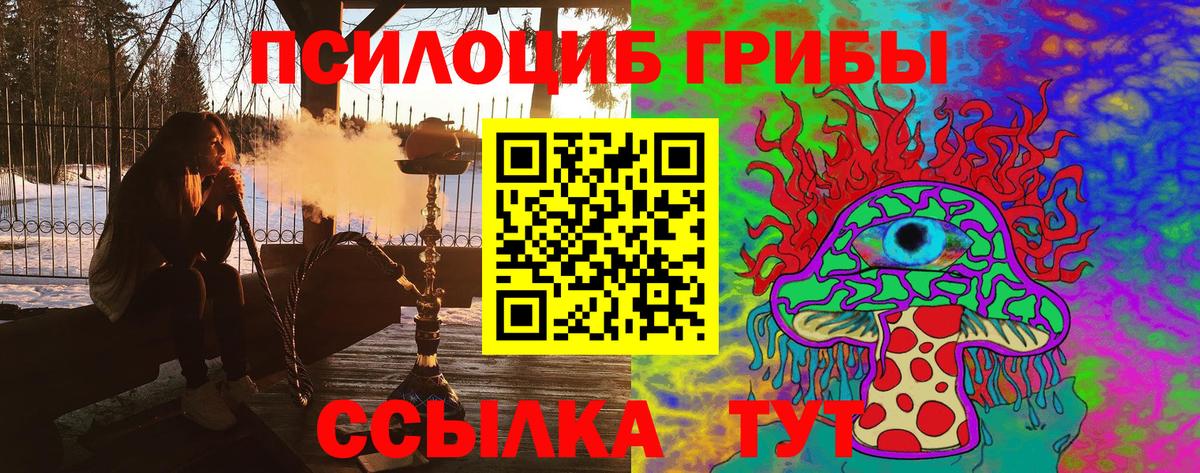 Галлюциногенные грибы GOLDEN TEACHER  Амурск 