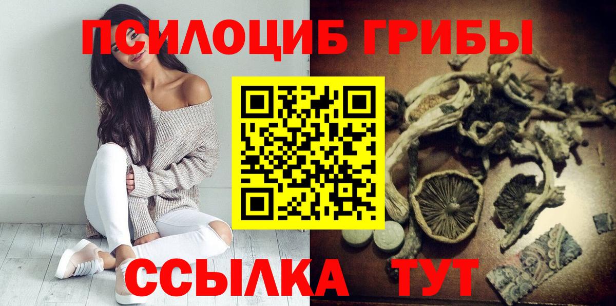 Псилоцибиновые грибы GOLDEN TEACHER Амурск