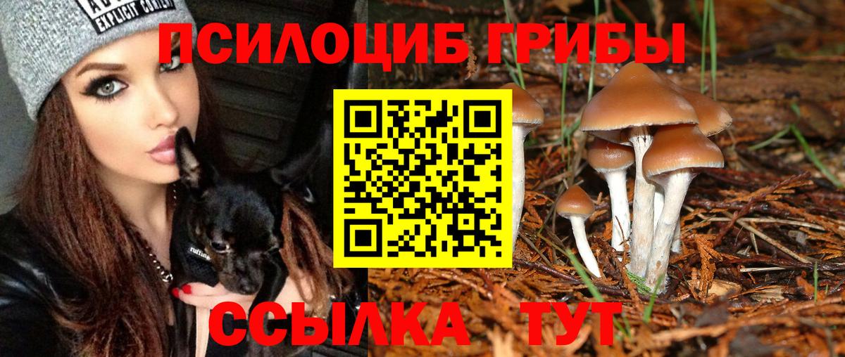 Амурск  Псилоцибиновые грибы GOLDEN TEACHER  Вход с VPN 