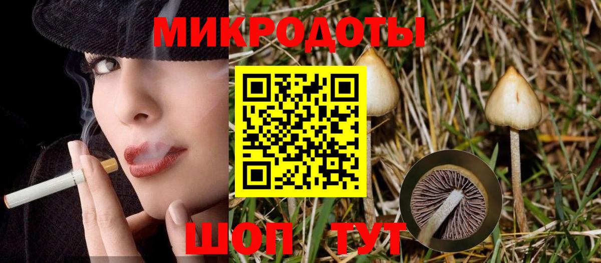 Амурск  Галлюциногенные грибы GOLDEN TEACHER  как найти   Вход с VPN  Галлюциногенные грибы прущие грибы 